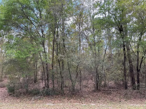 SW 208th Cir Lot 19, Dunnellon, FL 34431