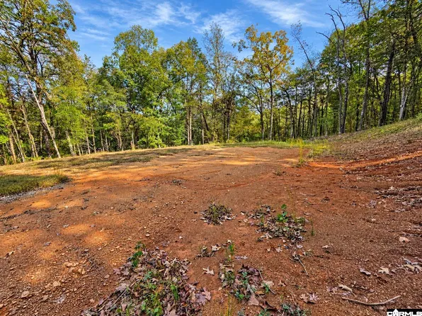 3601 Ponderosa Ln, Ozark, AR 72949