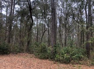 Young Man Rd NE, Townsend, GA 31331