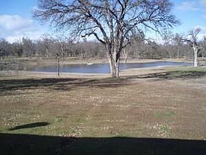 Pond View from Living Room