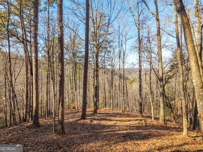 1665 Hunter Dr #42, Talking Rock, GA, 30175