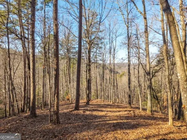 1665 Hunter Dr #42, Talking Rock, GA 30175