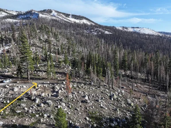 2060 Huckleberry Heights Rd, Echo Lake, CA 95721