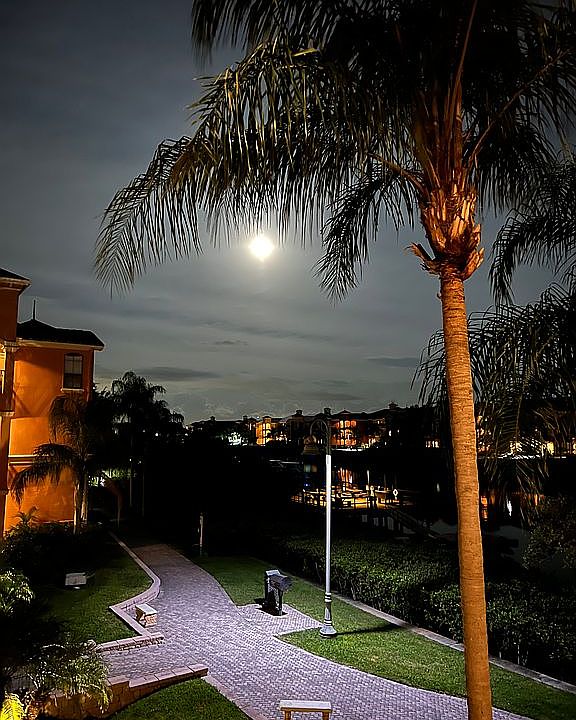 View from breezeway 