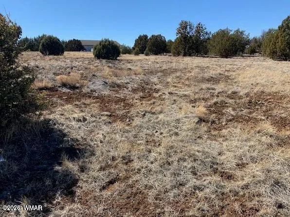 8580 Silver Creek Dr, Show Low, AZ 85901