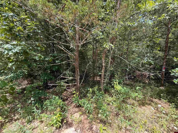 002-08487-033 Miller Dr, Henderson, AR 72544