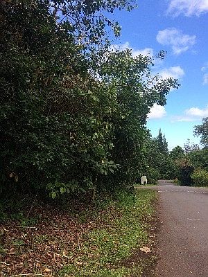1st image of Diamond Head Dr Lot 716