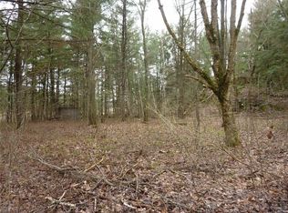 Chippewa Creek Rd/prvt Rd, Hammond, NY 13646