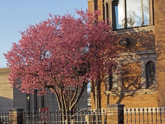 Onsite parking. Beautifully maintained landscaping and front scape.
