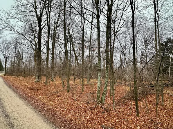 LOT 60 Chip N Dale Dr, Pickerel, WI 54465