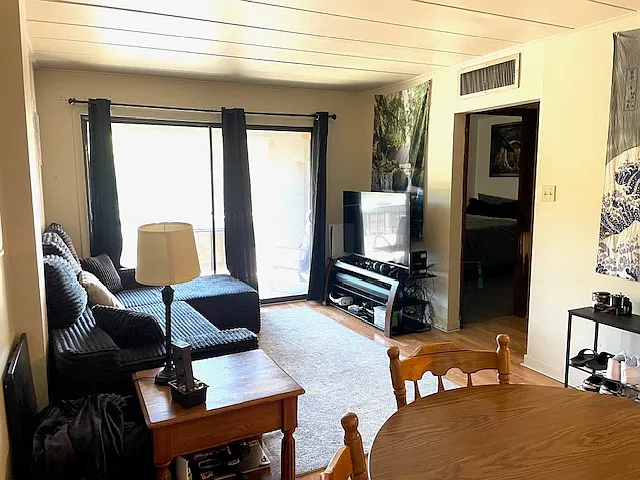 1 bed, $800 — Photo 3