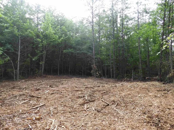 2109 Tract C&d Riddle Rd, Pauline, SC 29374