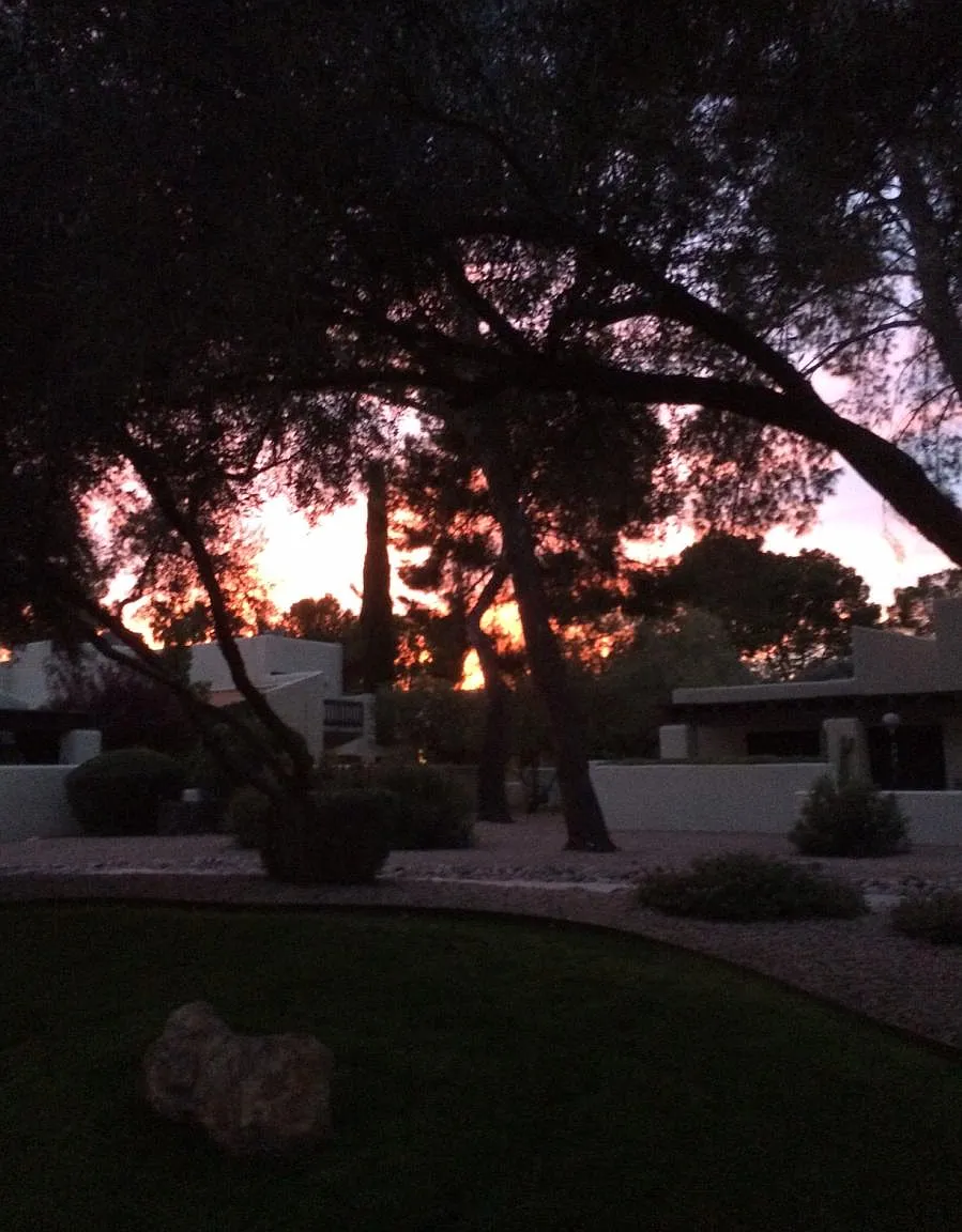 2 bed, 1276 sqft, $1,800 — Photo 2