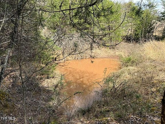 5th image of 0 Dyer Hollow Rd