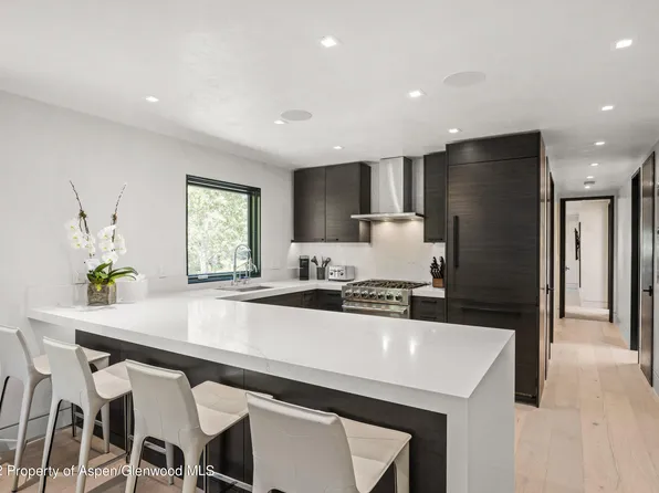 100 E Dean St Unit 3A, Aspen, CO 81611