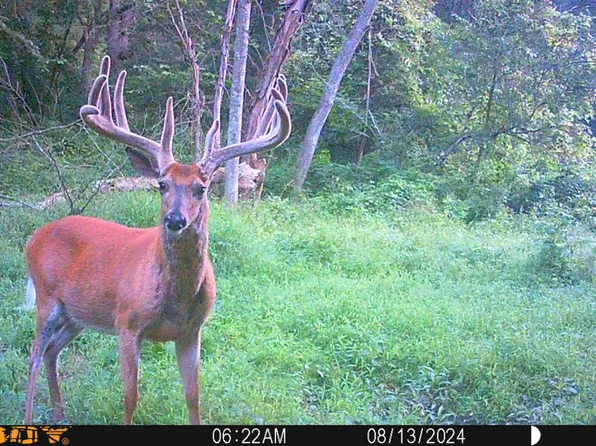 Fox Farm Rd, New Albin, IA 52160