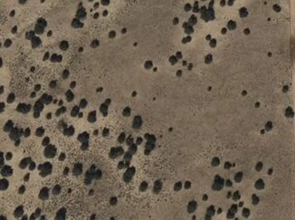 - N 7104 -- #-, St Johns, AZ 85936