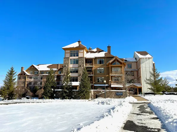 78 Middle Ridge Road #201, Stratton, VT 05155
