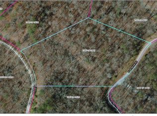 0 Platinum Rd, Tuckasegee, NC 28783