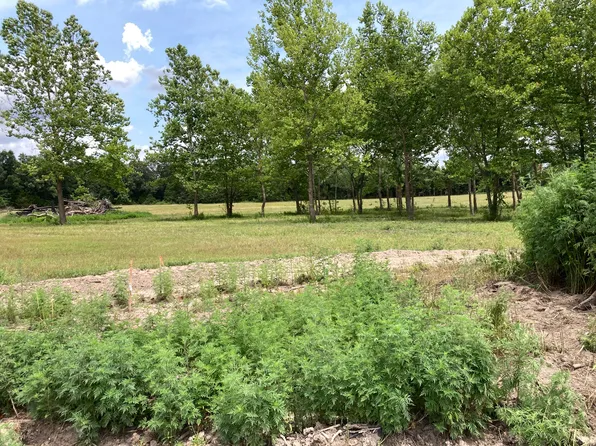Lot 11 Pepe, Fair Grove, MO 65648