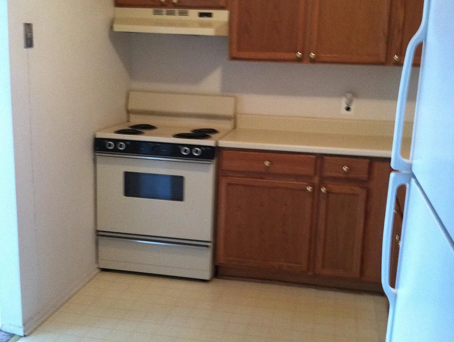 1 bed, 800 sqft, $1,120 — Photo 2