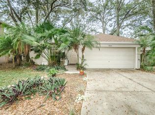 4605 Hidden Shadow Dr, Tampa, FL 33614