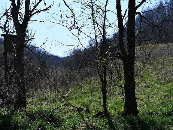 4th image of Tick Ridge Rd