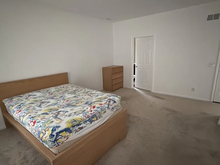 Master bedroom with walk-in closet (right door)