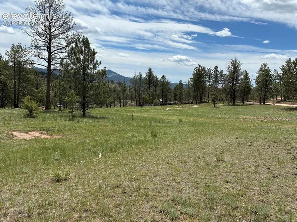266 Chapparal Trl, Florissant, CO 80816