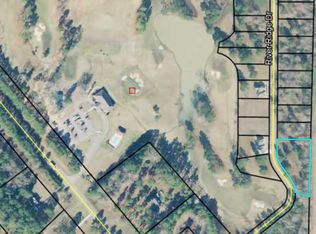 Vacant Lots River Ridge Dr, Hawkinsville, GA