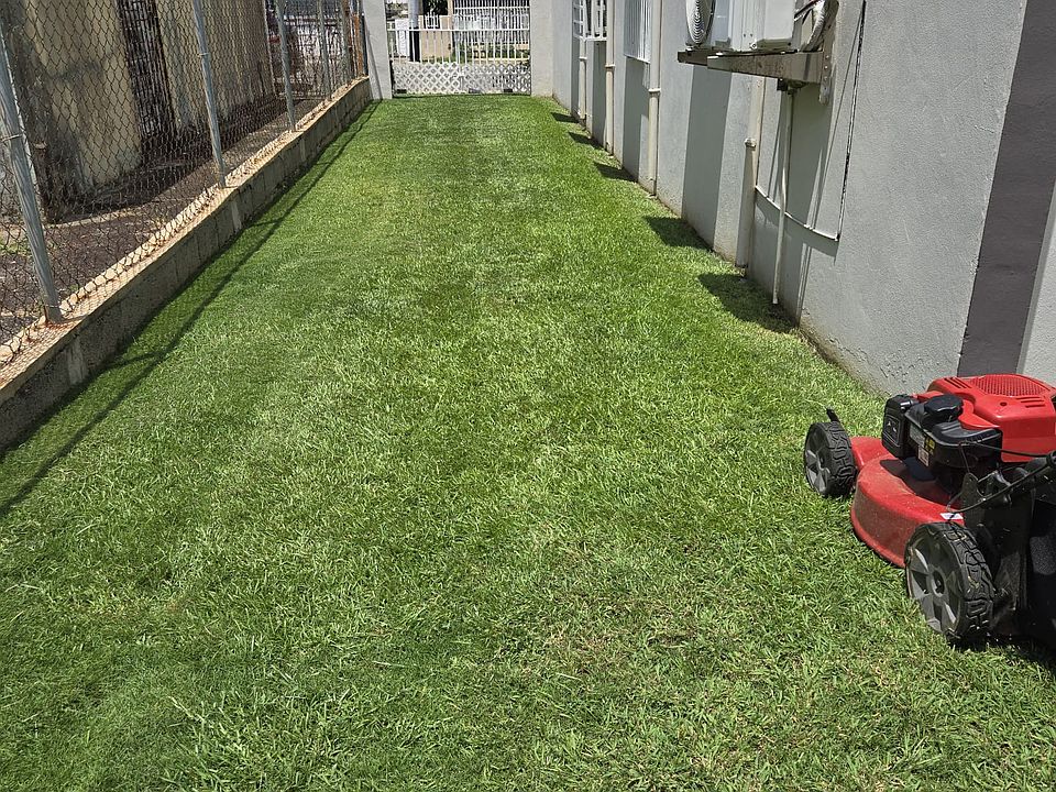 Side yard.