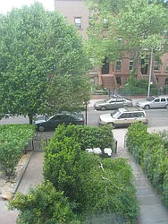 Rented by Carol Drake, LREB