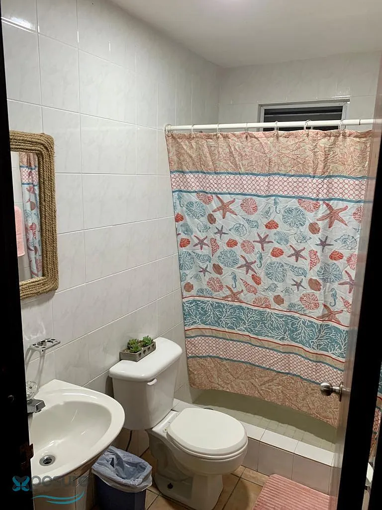 2 bed, 1.0 bath, 700 sqft, $1,600 — Photo 3