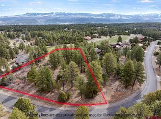 439 Badger Trl S, Ridgway, CO 81432