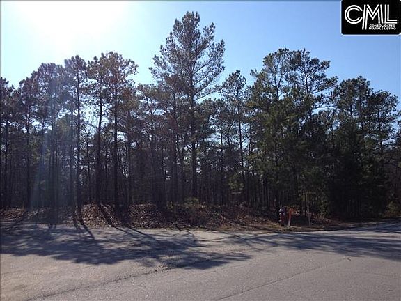 2nd image of 100 Overlook Dr