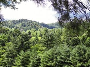 2212 Little Dry Run Rd, Butler, TN 37640