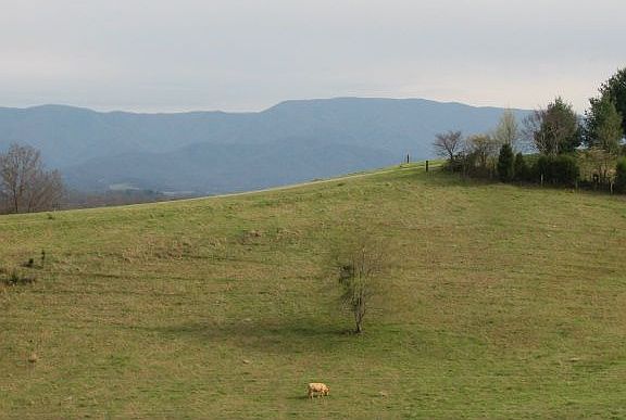 Spectacular Mountain Views