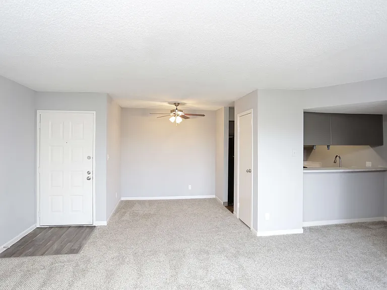 Perry 81 — Photo 27