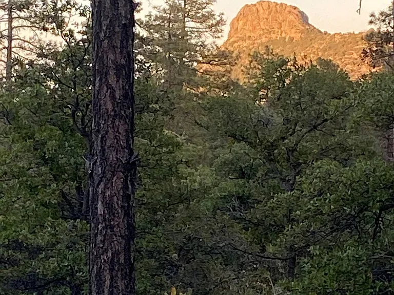 Window View