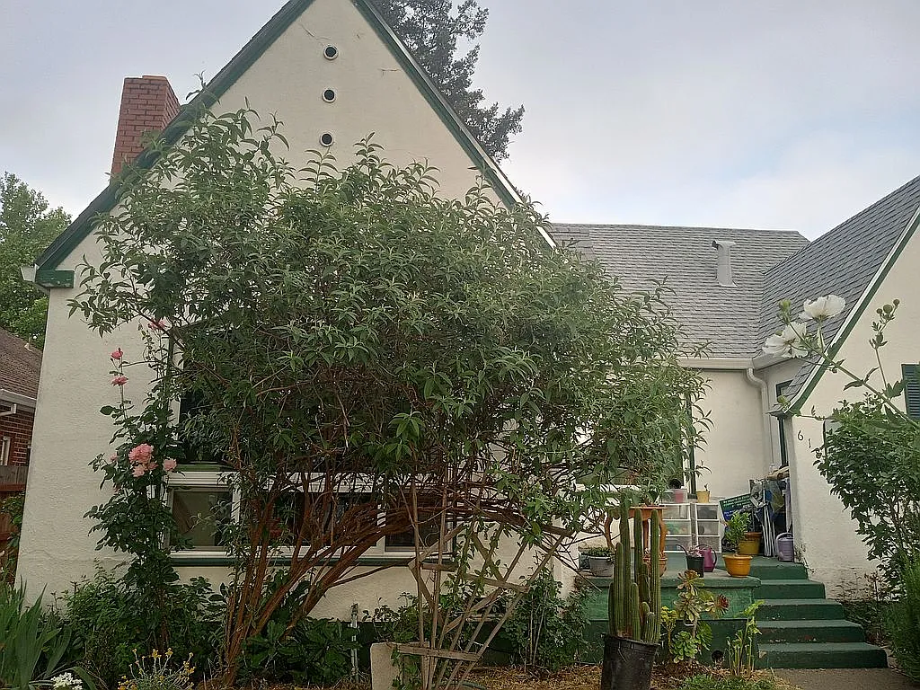 618 S Oak St photo 1