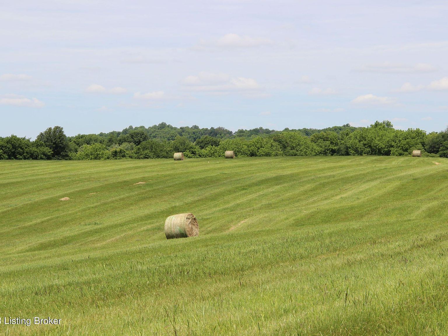 0 Salem Lake Rd, Hodgenville, KY 42748 Zillow