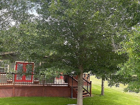 5th image of 230 Liberty Dr