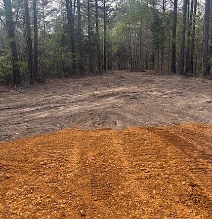 5th image of 0 Moss Loop