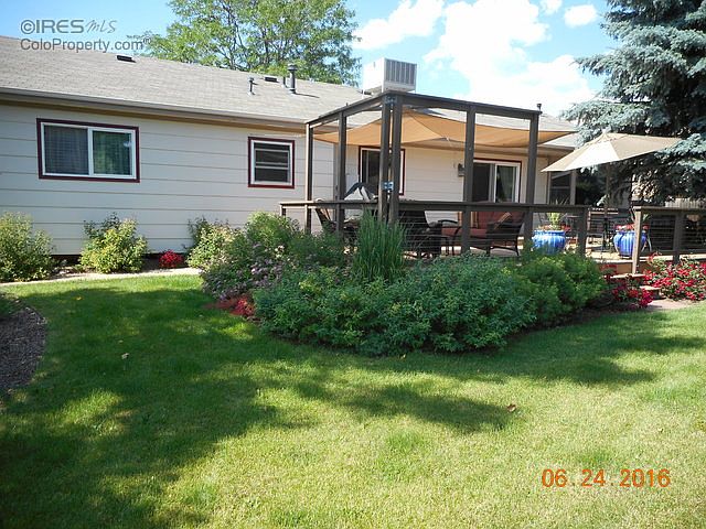 Back yard