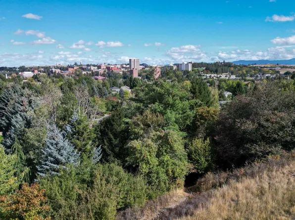 620 SE Crestview St, Pullman, WA 99163