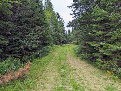 W10402 Cth E, Park Falls, WI, 54552