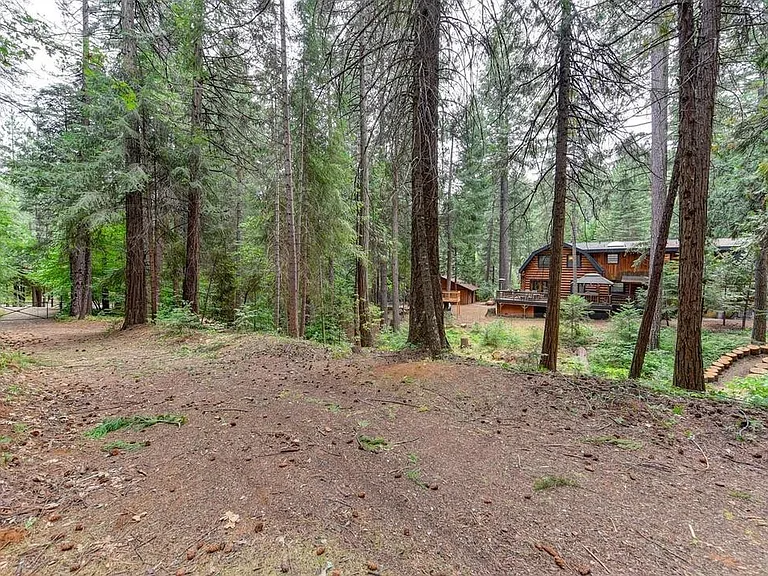 4589 Jenkinson Cir — Photo 15