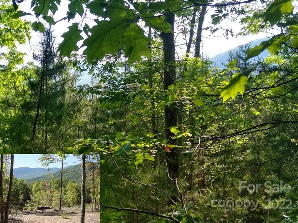 LOT 221 Davids Dr, Lake Lure, NC 28746