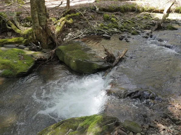 Townsend Hollow Rd, Fleischmanns, NY 12430