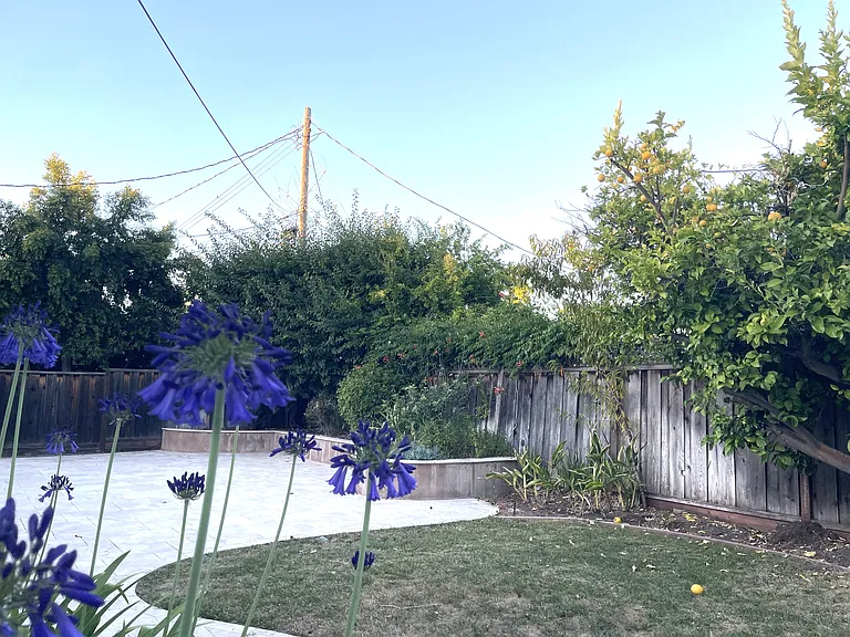 4335 Belvedere Dr — Photo 2
